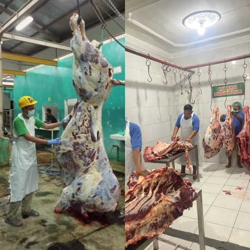 Proses pemotongan daging sapi segar